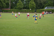 DSC05630.JPG