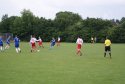 DSC08081.jpg