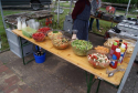 DSC08131.jpg