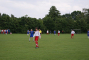 DSC08091.jpg