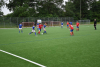 DSC_0456.jpg