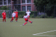 DSC05858p.JPG