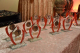 DSC_0070.jpg